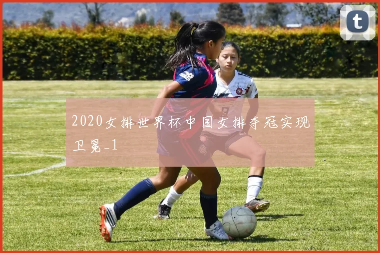 2020女排世界杯中国女排夺冠实现卫冕_1
