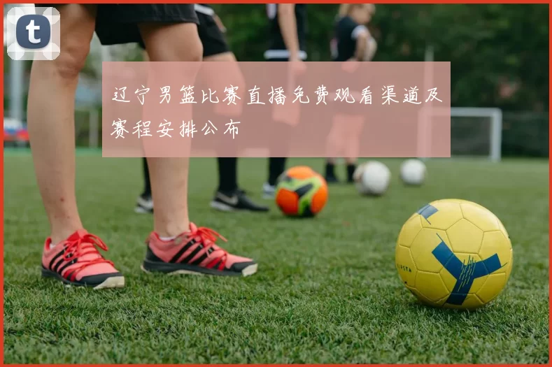 辽宁男篮比赛直播免费观看渠道及赛程安排公布