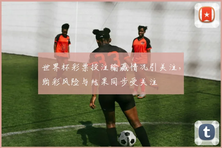 世界杯彩票投注输赢情况引关注,购彩风险与结果同步受关注