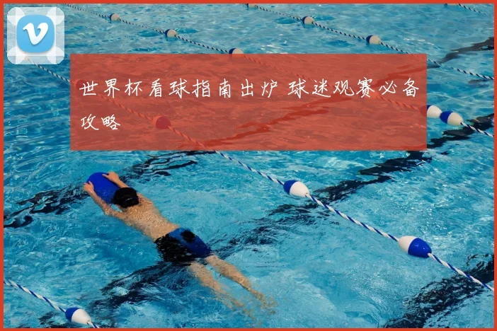 世界杯看球指南出炉 球迷观赛必备攻略